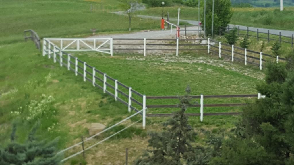 Allevamento B&B Pozzol Groppo Экстерьер фото